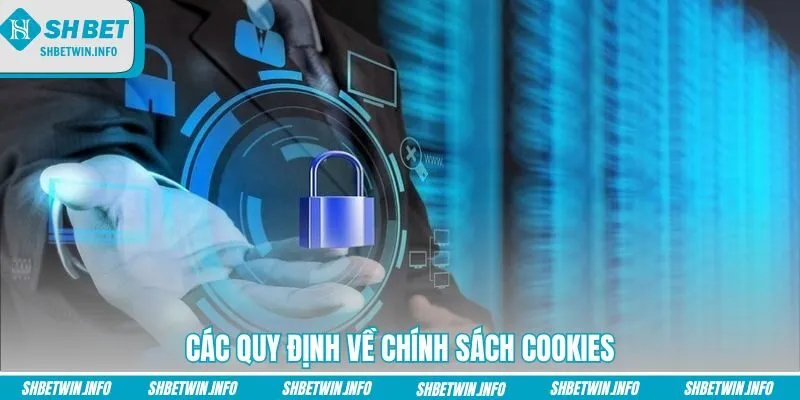 cac-quy-dinh-ve-chinh-sach-cookies