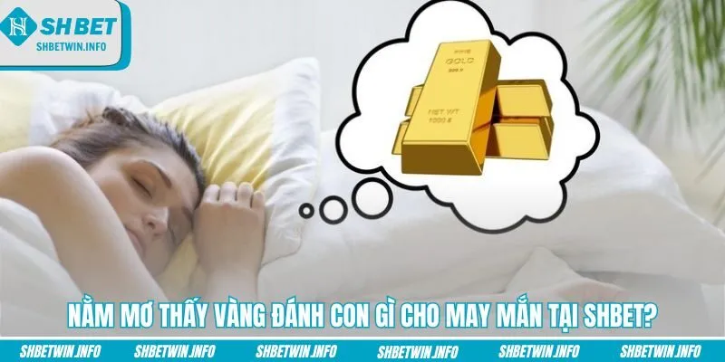 nam-mo-thay-vang